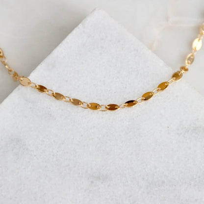 Oval Coin Choker Necklace